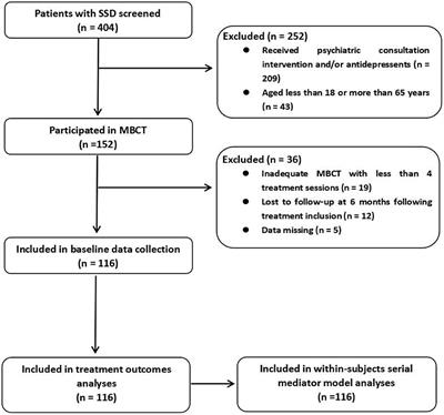 Addressing psychosomatic symptom distress with mindfulness-based cognitive therapy in somatic symptom disorder: mediating effects of self-compassion and alexithymia